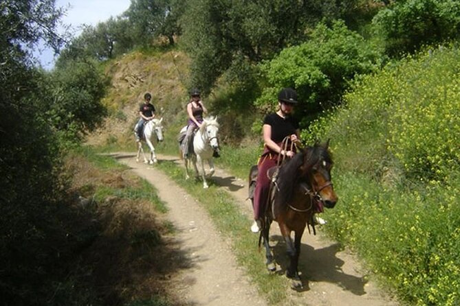 HORSE RIDING 1.5 Hours Mountains From Area Hersonissos CRETE - Pickup and Transfer
