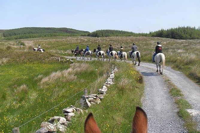 Horse Riding - Burren Trail. Lisdoonvarna, Co Clare. Guided. 3 Hours. - Meeting Information