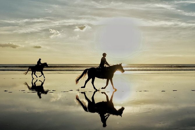 Horse Riding By The Beach With Hammam And Massage - Pricing and Booking Details