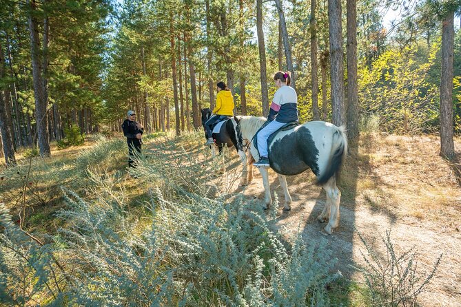 Horse Riding Experience From Bansko - Meeting and Pickup Details