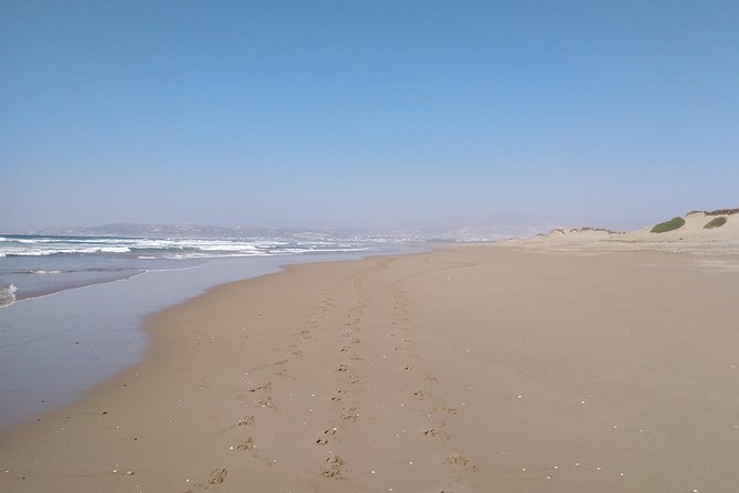 Horse Riding in Agadir National Park - Meeting and Departure Details