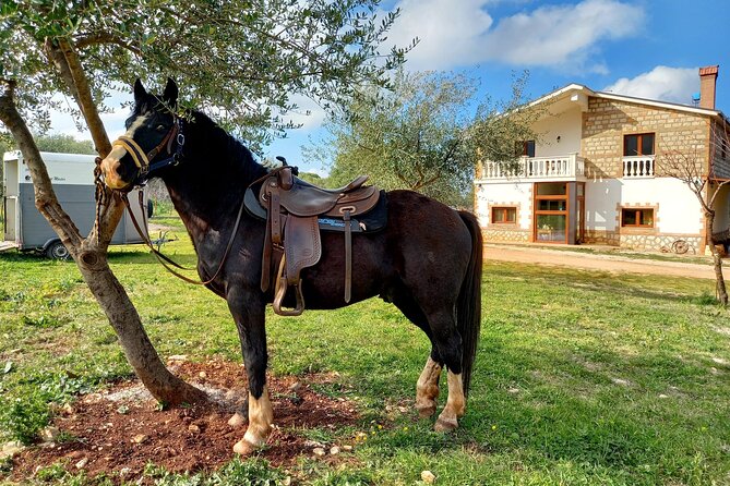Horse Riding in the Gargano National Park - Safety Measures and Precautions