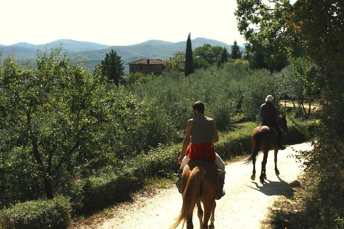 Horse Riding in Tuscany for Experienced Riders: Full-day Trail Ride - Meeting and Logistics