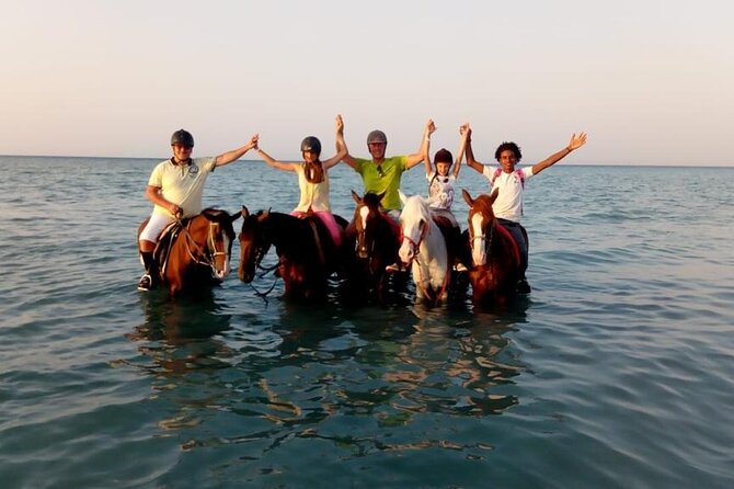 Horse Riding Tour on The Red Sea And Desert & Transfer-Hurghada - Safety and Accessibility