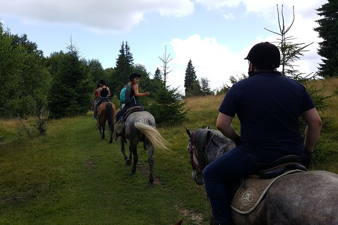 Horseback Riding Adventure Tour Through Brasov Landscape - Tailored Riding Experiences