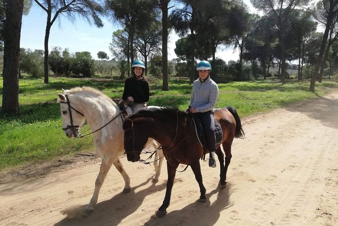 Horseback Riding Exclusive for Couples, in Doñana Natural Park, Seville - Witness Local Birds and Wildlife