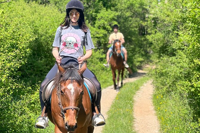 Horseback Riding Experience With Transport From Dubrovnik - Meeting and Pickup Arrangements