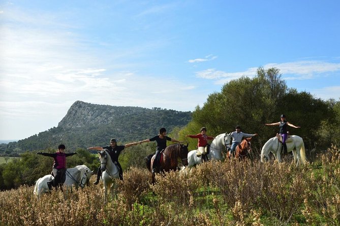 Horseback Riding in Randa Valleys, Mallorca, Spain - Whats Included in Your Ride