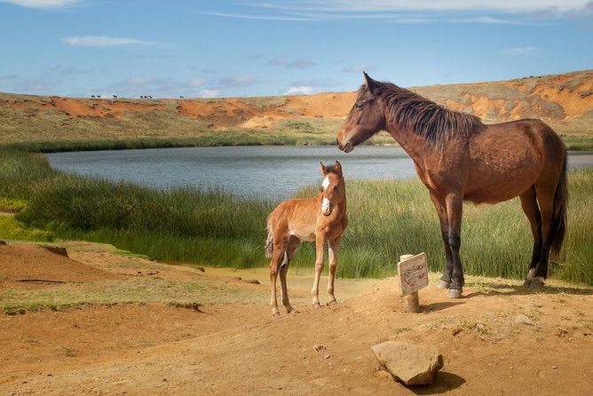 Horseback Riding on Easter Island - Personalized Horseback Riding Experience