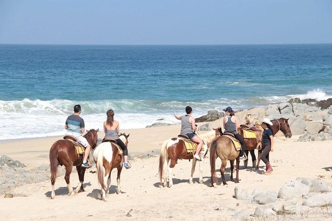 Horseback Riding on The Beach and Through The Desert! - Experience Highlights and Expectations