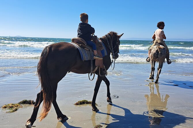 Horseback Riding on the Beach From Ensenada - Inclusions and Pricing
