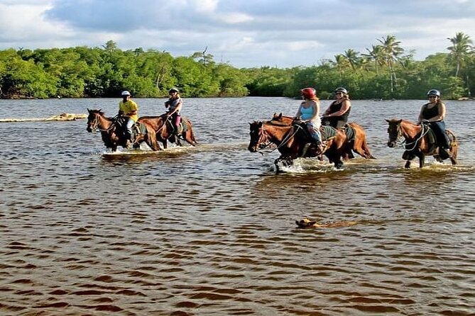 Horseback Riding to Maimon River From Punta Cana - Preparing for the Ride
