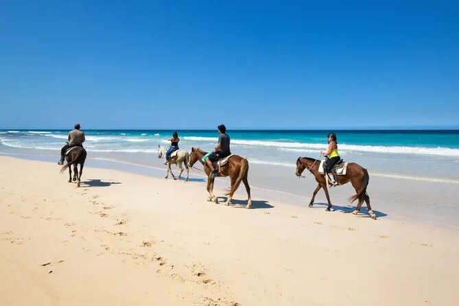 Horseback Riding Tour From Punta Cana - Participant Information