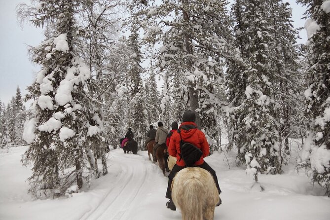 Horseback Riding Tour in Levi - Tour Details