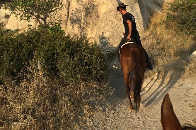 Horserback Riding (Daytime or Sunset) - Daytime or Sunset Horseback Riding