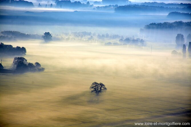 Hot Air Balloon Flight in Loire Valley - Inclusions and Amenities