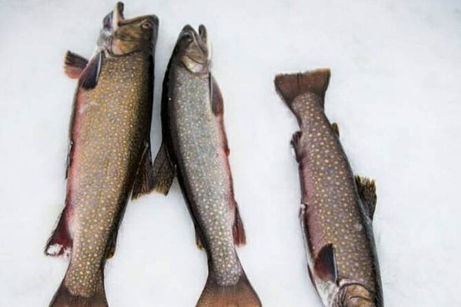 Ice Fishing - Gathering the Necessary Gear
