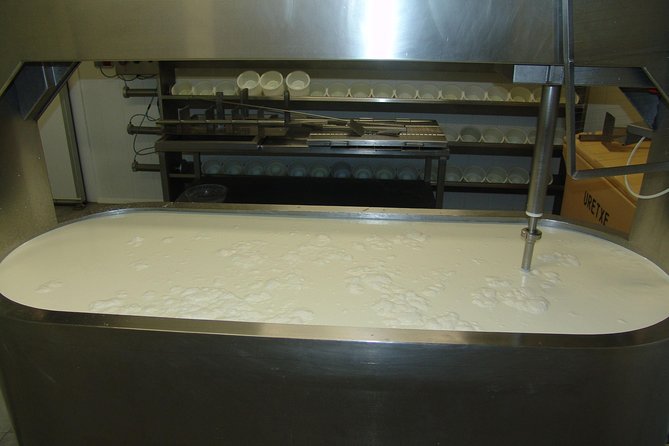 Idiazabal Cheese Tour From San Sebastian - Booking Information