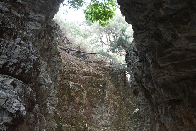 Imbros Gorge & Frangokastello Tour Review - Tour Schedule and Pricing