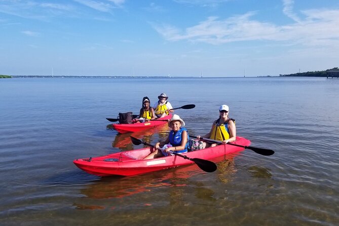 Indian River Clear Bottom Kayak or Paddleboarding Manatee and Dolphin Tour - Exploring the Indian River Lagoon