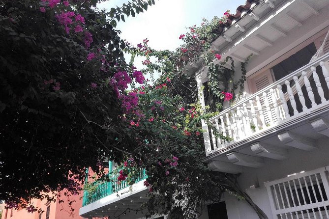 Into the Walls of The City: A Self-Guided Audio Tour - Meeting and End Points