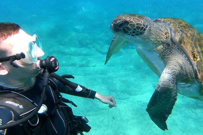 Intro Scuba Diving Experience in Hurghada - Preparing for the Dive