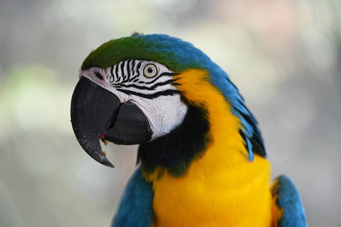 Iquitos Jungle Tour for 3 Days - Accommodations and Meals