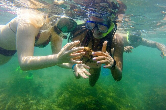 Isla Chora Kayak and Snorkel Activity - Pickup and Meeting Locations