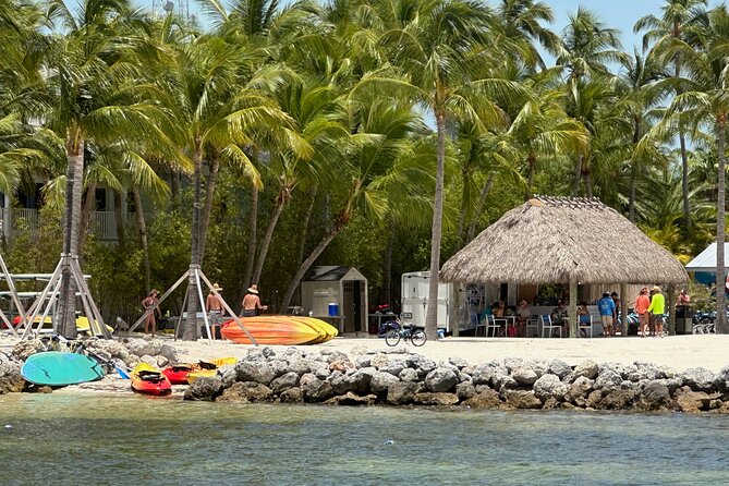 Islamorada: Snorkeling From the Islander Hotel - Accessibility and Participation