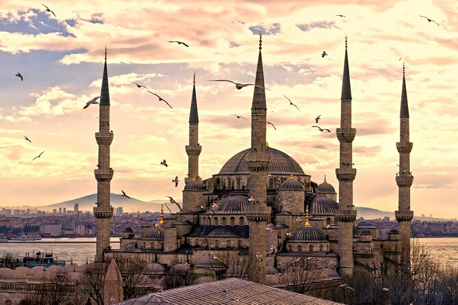 Istanbul Full Day Private English Guided Old City Tour - Inclusions and Logistics
