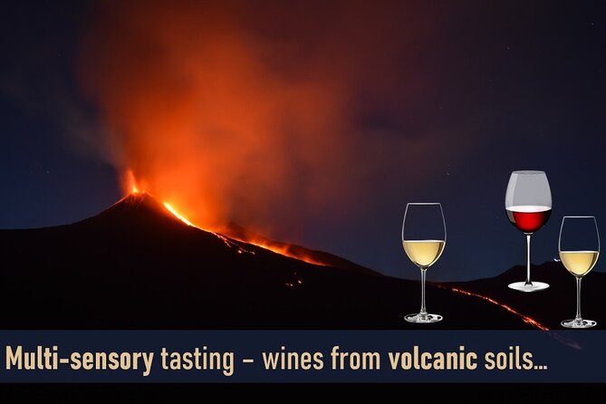 Italian Reds: a Sensory Journey From Lightness to Strength - Types of Italian Red Wines