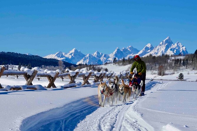 Jackson Hole Full-Day Dog Sledding and Snowmobiling Combo Trip - Itinerary Details