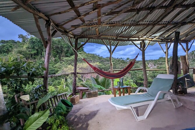 Jamaican Roots Tropical Farm Tour - Explore & Chill (2 Hr) - Inclusions