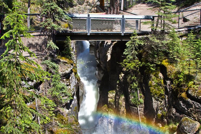 Jasper National Park Tour: Maligne Valley, Medicine Lake and Spirit Island - Scenic Experience at Medicine Lake