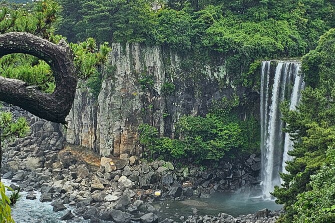Jeju Private Tour Package-South of Jeju(Mt.Hallasan & Waterfalls) - Transportation Options