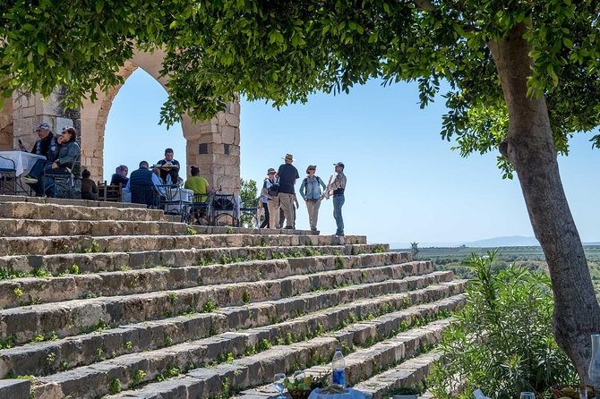 Jerash, Ajloun & Umm Qais Private Tour - Inclusions and Amenities