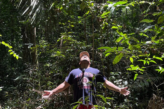 Jesses Amazon Adventures - Survive and Thrive in the Rainforest - Discover Edible and Medicinal Plants
