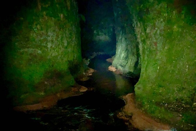 Join the Dark Side of Magical Nature - Experience Highlights