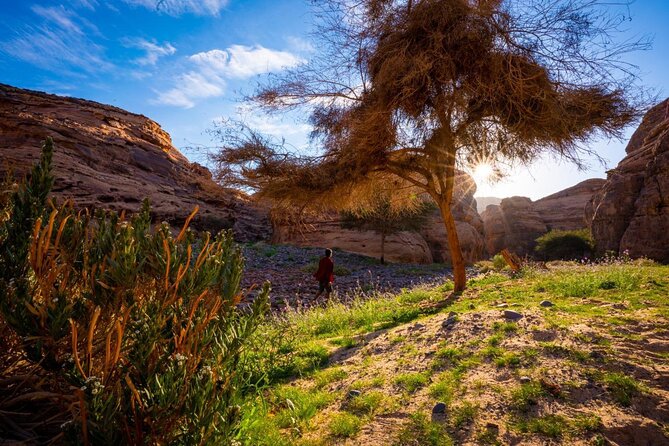 Journey Through Time Hike - Meeting Point and Schedule