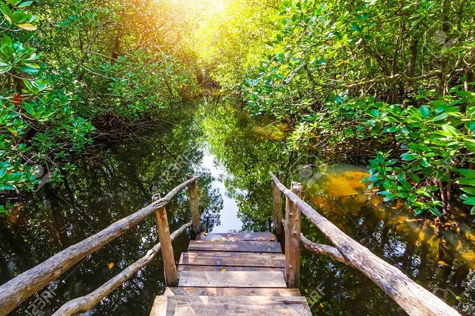 Jozani Forest Reserve Half-Day Guided Tour From Zanzibar - Included Services
