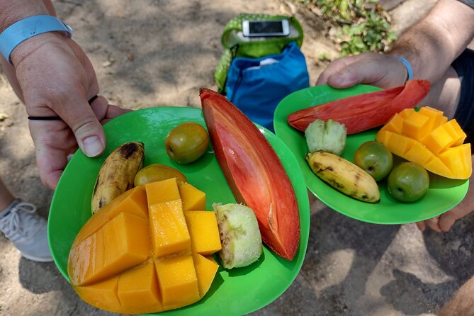 Jungle and Exotic Beaches, Hiking in Puerto Vallarta - Inclusions and Requirements