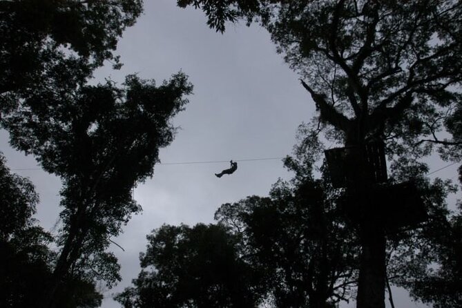 Jungle Fly: Adventure at the Jungle in Iguazu - Inclusions and Services