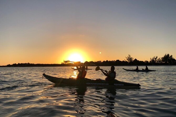 Kayak Mangroves Sunrise Experience - Participant Guidelines