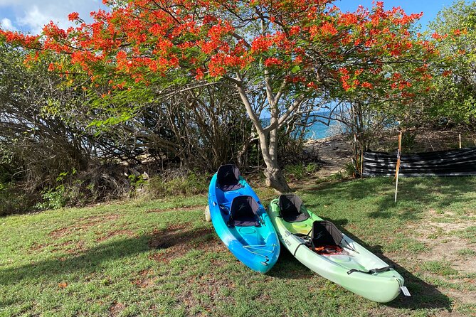 Kayak Rental on Saint Croix - Booking and Cancellation