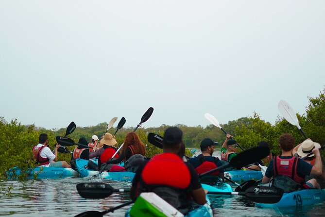 Kayak Through the Mangroves to the Purple Island - Glimpse of the Purple Island