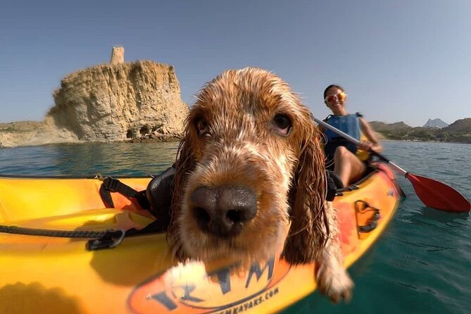 Kayaking With Dogs - Meeting and End Point