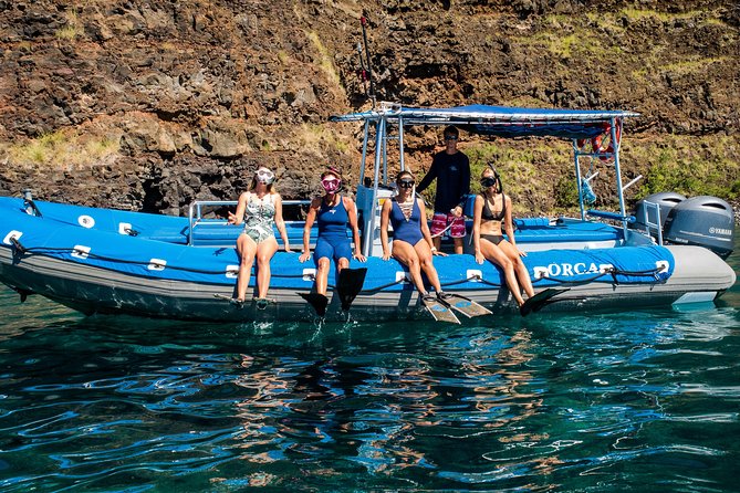 Kealakekua Bay Snorkel - Unique Wildlife Encounters