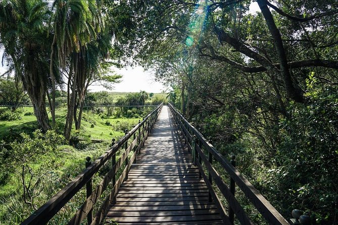 Keekorok Lodge 3 Days, 2 Nights Maasai Mara Offer - Tour Details