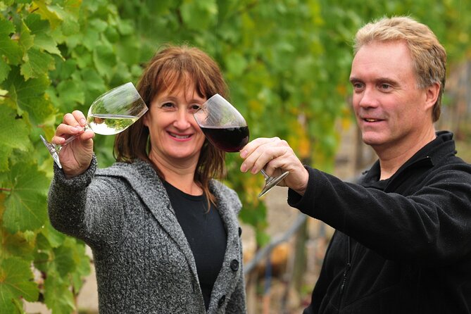 Kelowna Wine Tour on an E-Bike With Lunch - Included Features and Benefits