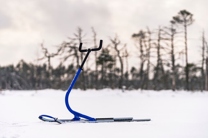 Kicksledding on Snowy Forest Roads and Frozen Lakes in Riga - Inclusions